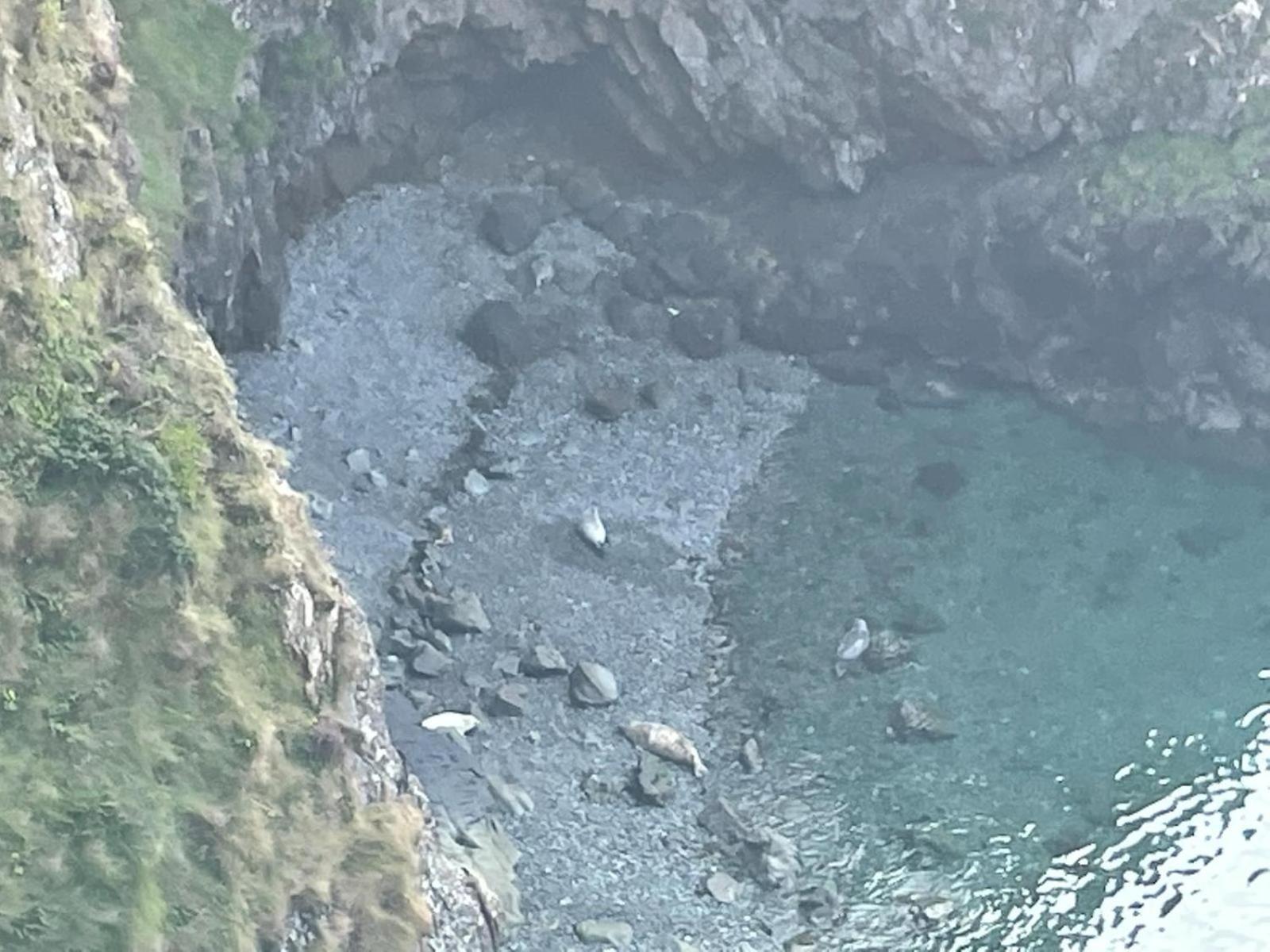 Trefechan Wen Barn Llanwnda  Екстер'єр фото